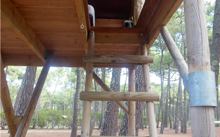 Sucker ladder to climb