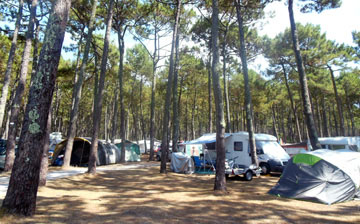 Cap Ferret Nature Campsite