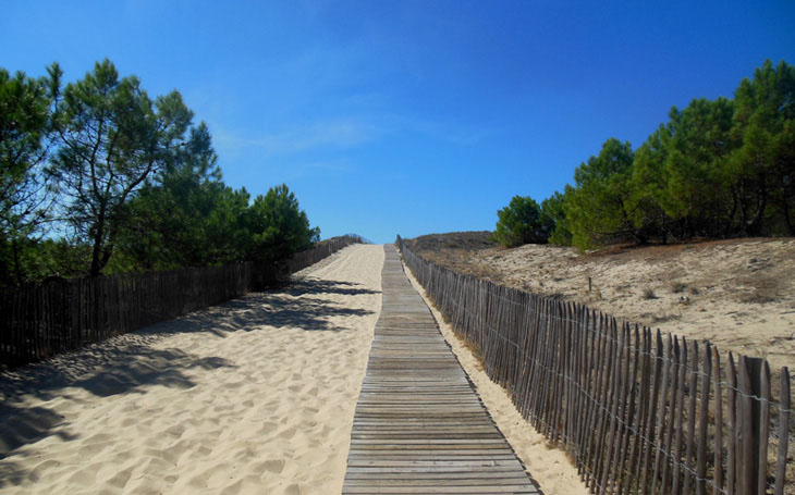 Access to cap ferret beaches