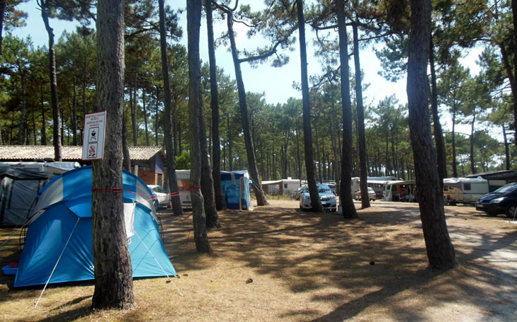 Camping pitches for tents caravans and motorhomes
