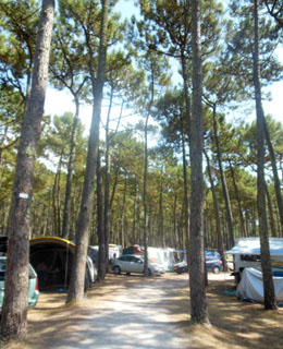 Camping pitches for tents, caravans and motorhomes