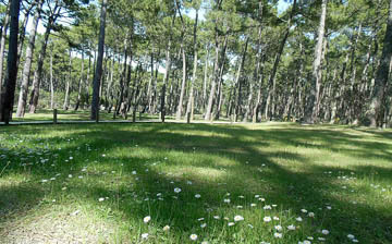 Simple and authentic campsite