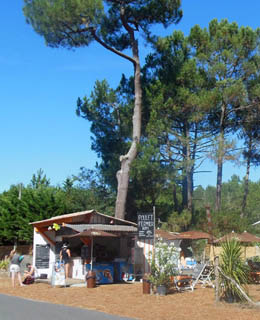Snack and roasted chicken