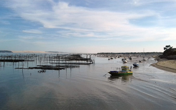 Vue de la dune du pilat depuis le cap ferret